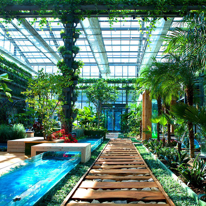 Premium wellness space with indoor garden and therapy facilities