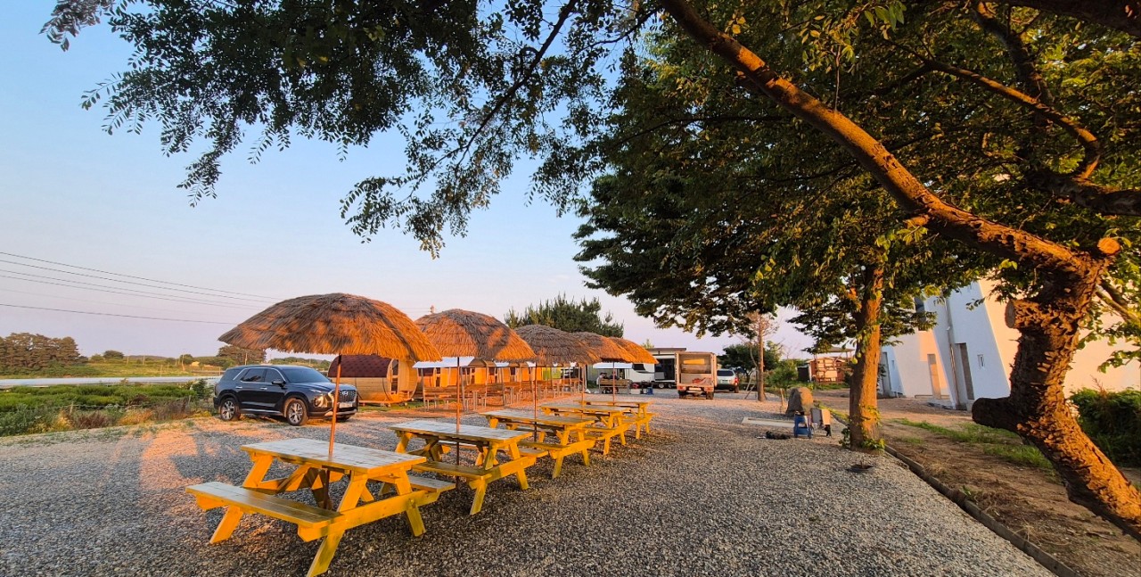 The Charm of ‘Daebu Jjimjil Picnic’