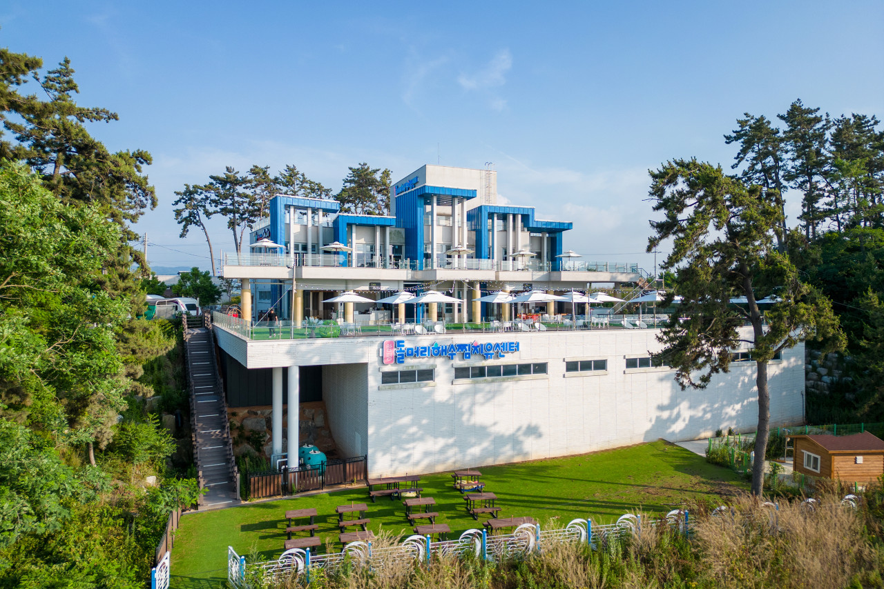 Traditional Korean seawater steam therapy at Dolmeori Healing Center